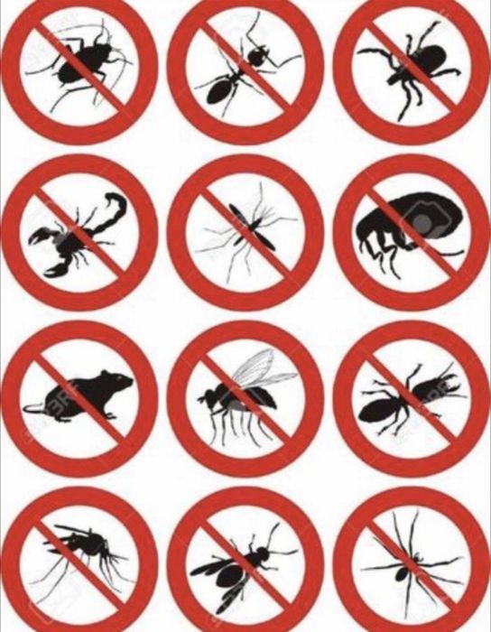 Скидка 10% Дезенфекция дизенфекция дезинфекция дизинфекция dizinfeksiy