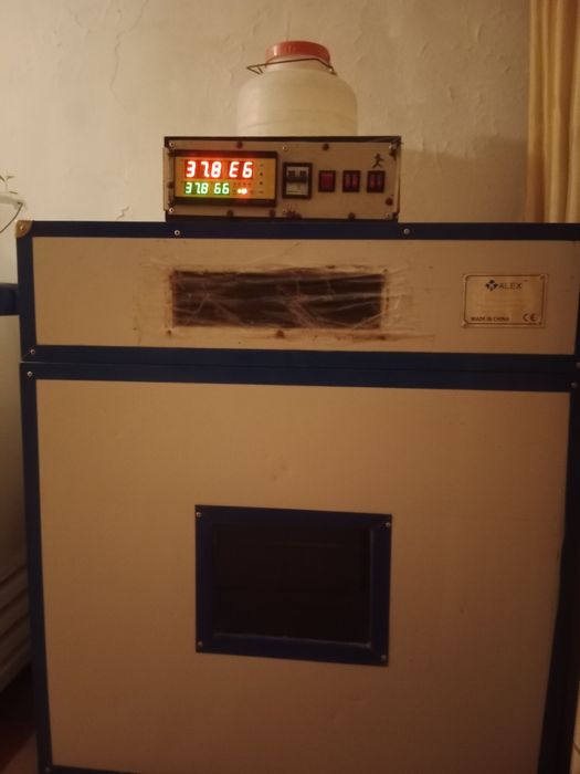 Инкубатор сатылады.