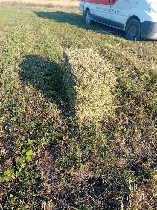 Vand Baloti lucerna ,coasă a 3,