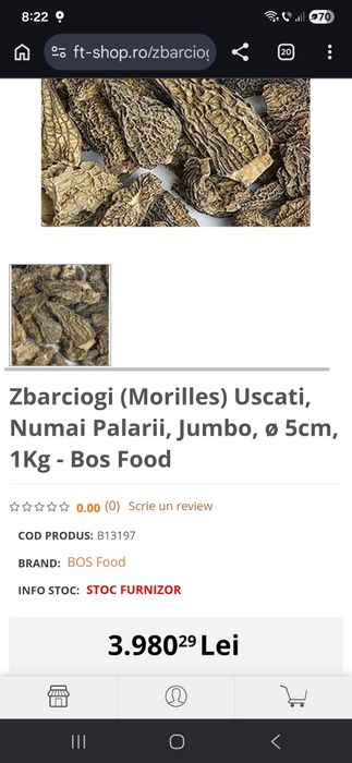 Zbarciogi Morchella Esculenta, Conica, Semilibera