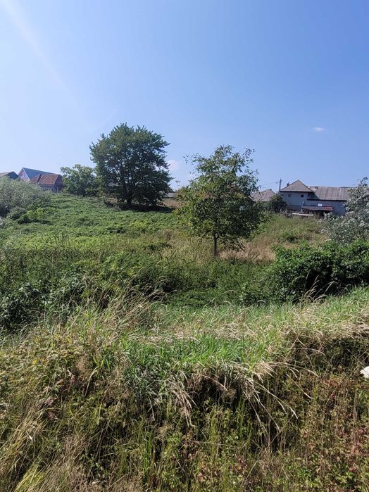 Reducere de pret, teren intravilan, Recea / Baia Mare Baia Mare • OLX.ro