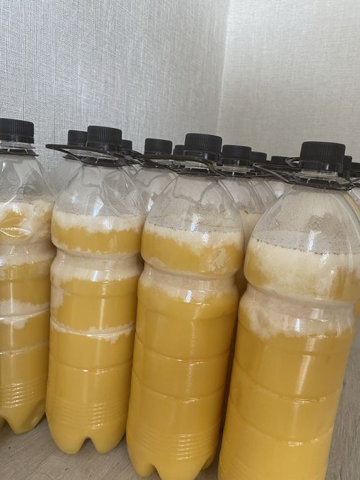 Мёд с Восточного Казахстана