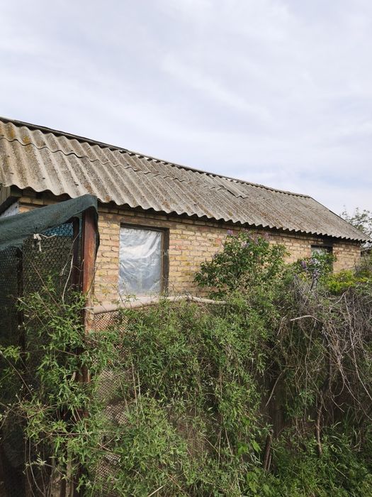 Продам срочно Кумшагал