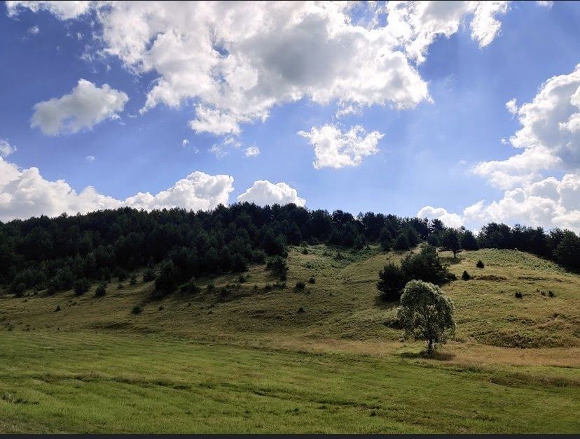 Парцел в Сърница/ По договаряне
