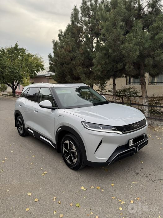 BYD Yuan Up 2025 Ofitsalniy