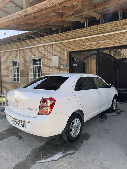 2024 автомат радной краска