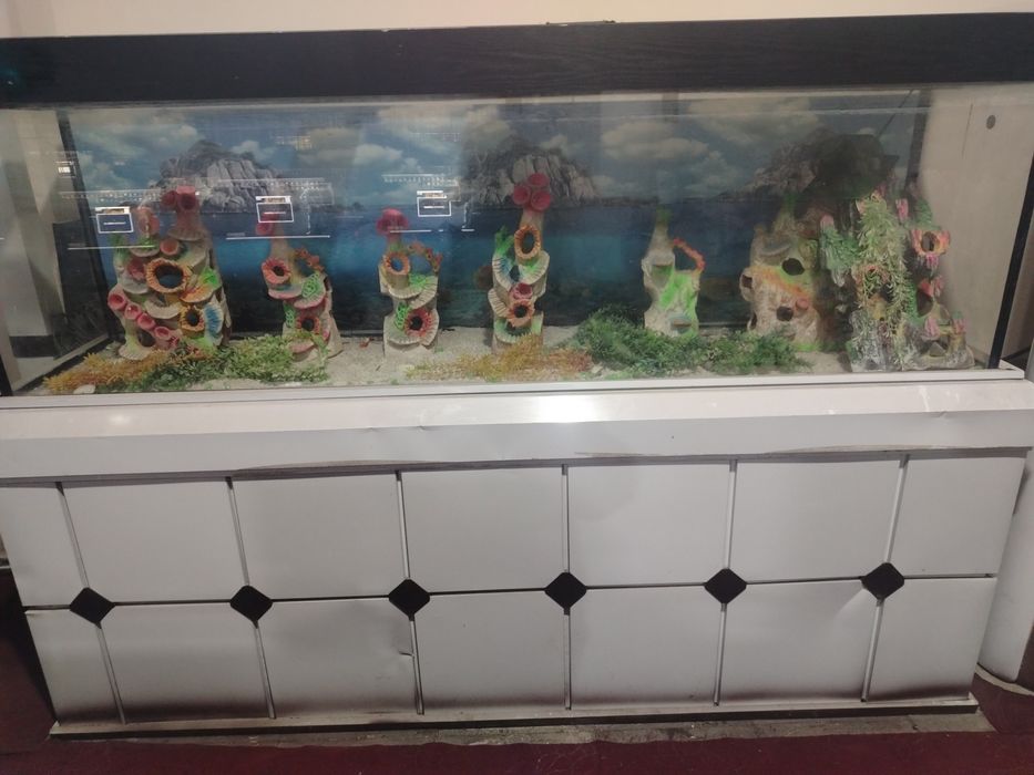 Narxi kelishiladi 600litrli akvarium