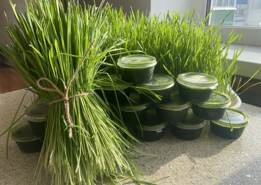 Витграсс. Всегда в наличии