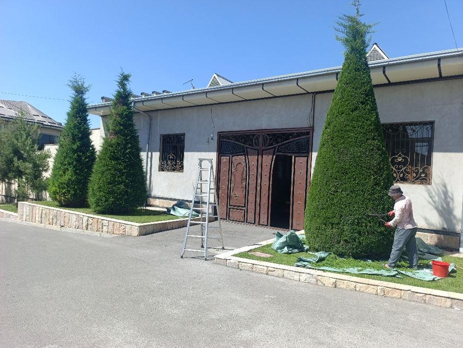 Archa kesish Арча кесиш Арча дорилаш хизмати