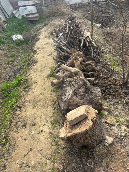 Отын сатылады. Продается дрова