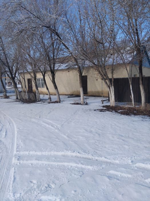 Жалга бериледи хабарласындар