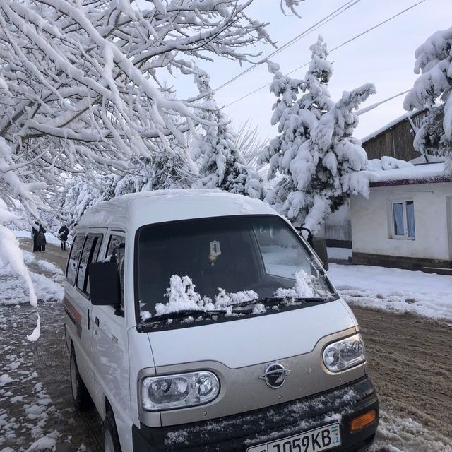 Дамас 2021 метан