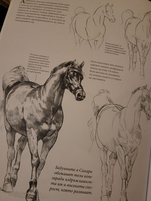 Голямо помагало по рисуване със съвети