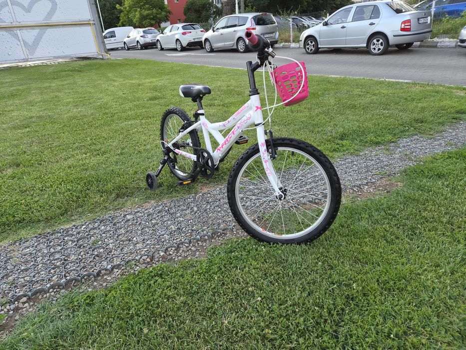 Bicicleta  fete 6-11 ani 20 inch X Fact Princess cu cos frontal