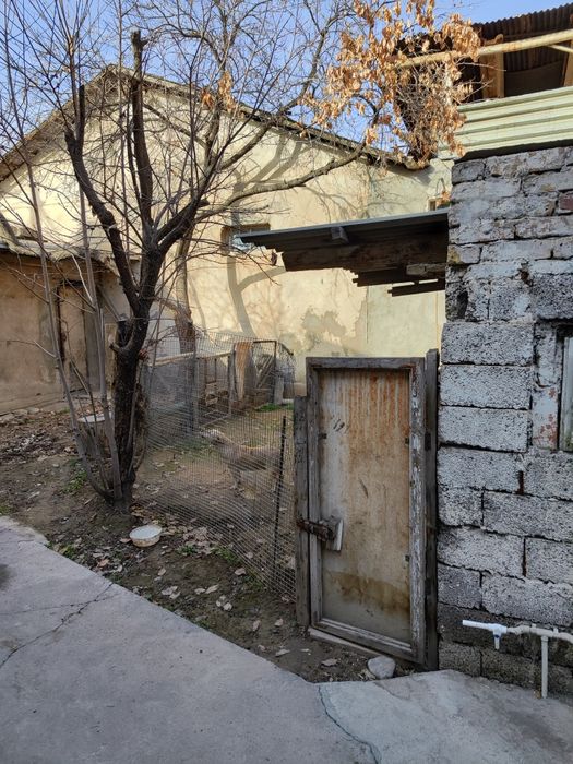 Продам участок в Яшнабадском районе ориентир Тапоич