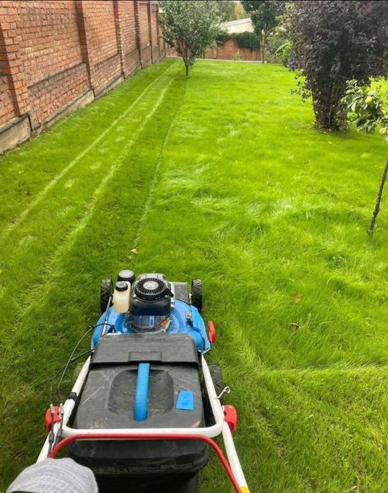 Услуги по посадке, удобрению и стрижке газона