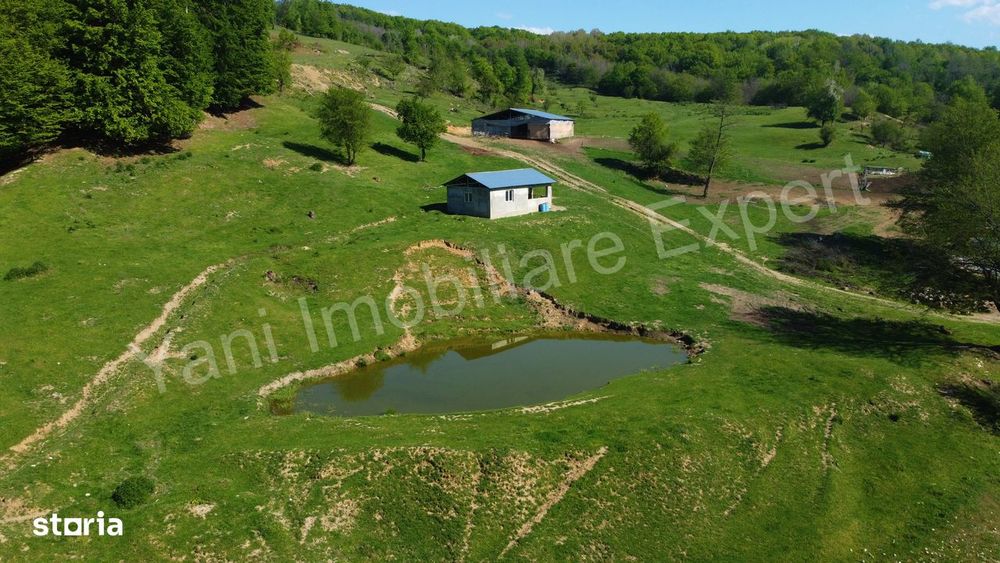Teren cu stană de vânzare în apropiere de Curtea de Argeș.