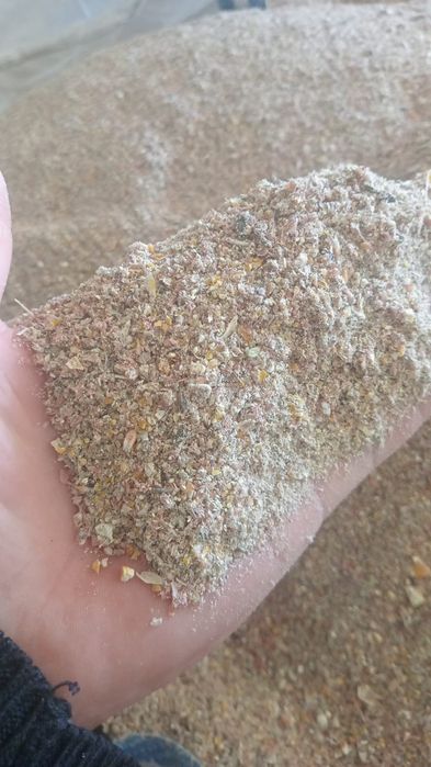 Concentrat pui etc..