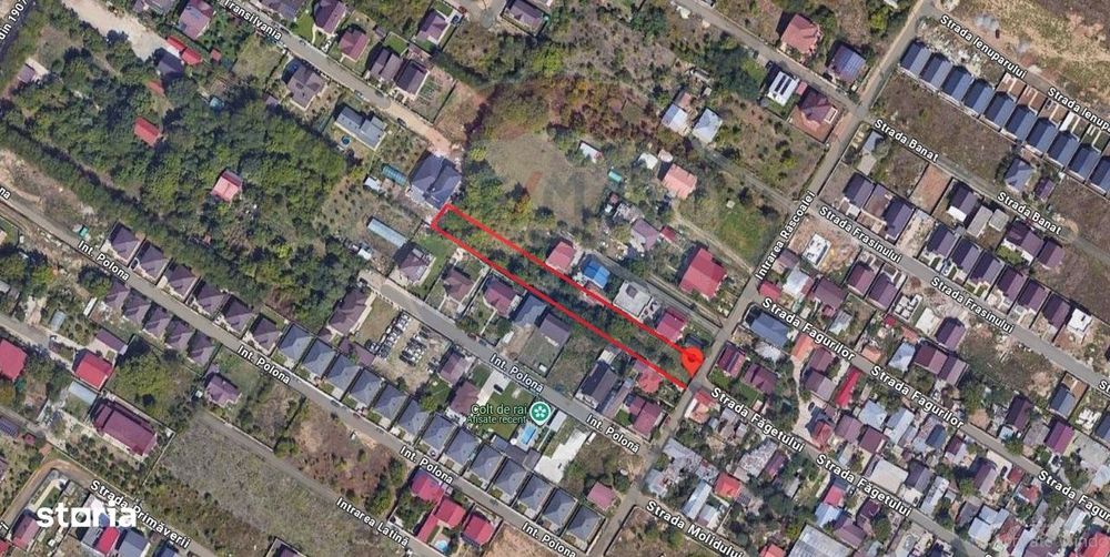 Teren intravilan 2000 mp de Vanzare Pantelimon - Rascoalei