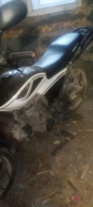 Продам мопед альфа 49куб