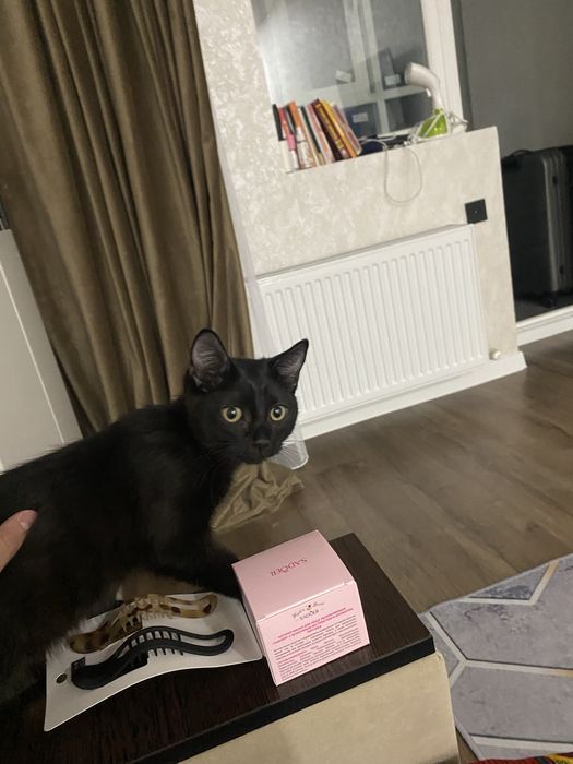 Отдам в добрые руки бесплатно