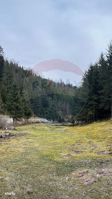 Arieșeni–Strada Fața Cristesei -Teren 4.331 mp cu Peisaj de Poveste