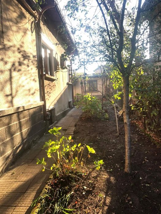 Продава се антим 1 ви 27