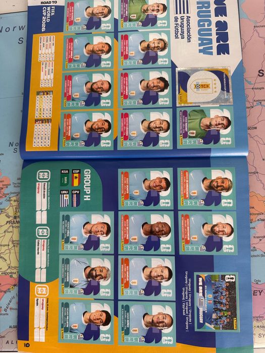 Panini Sticker