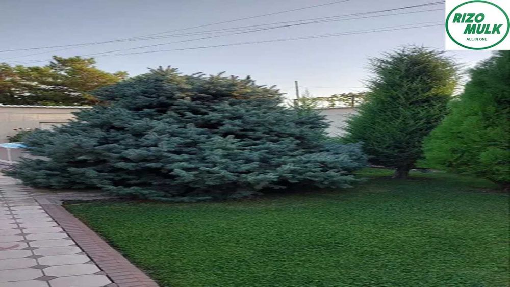 Олмазор туманида файзли ховли сотилади. NR494/165