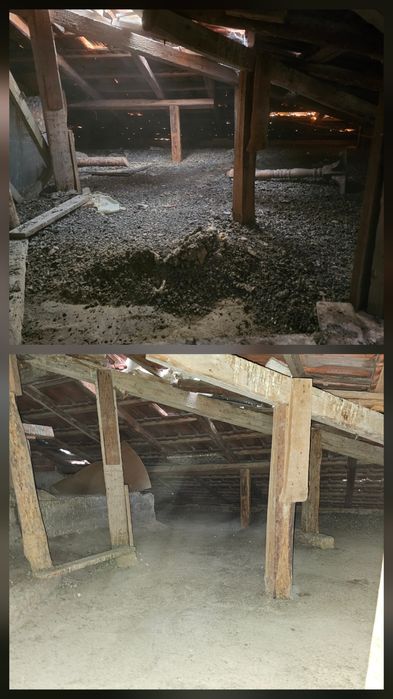 Почистване от гълъби Плевен