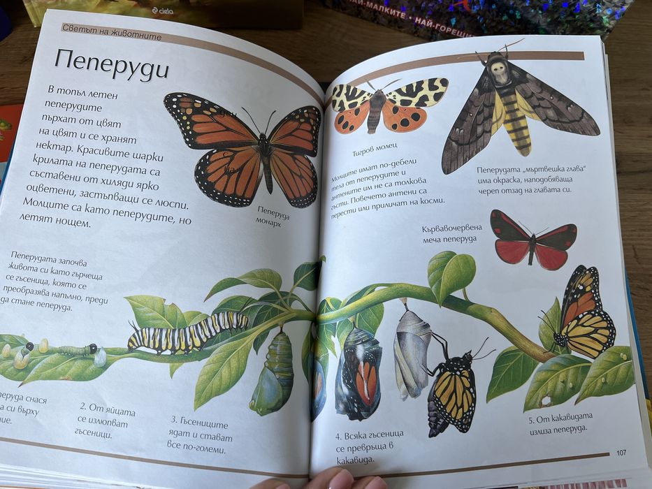 Комплект енциклопедии + подарък