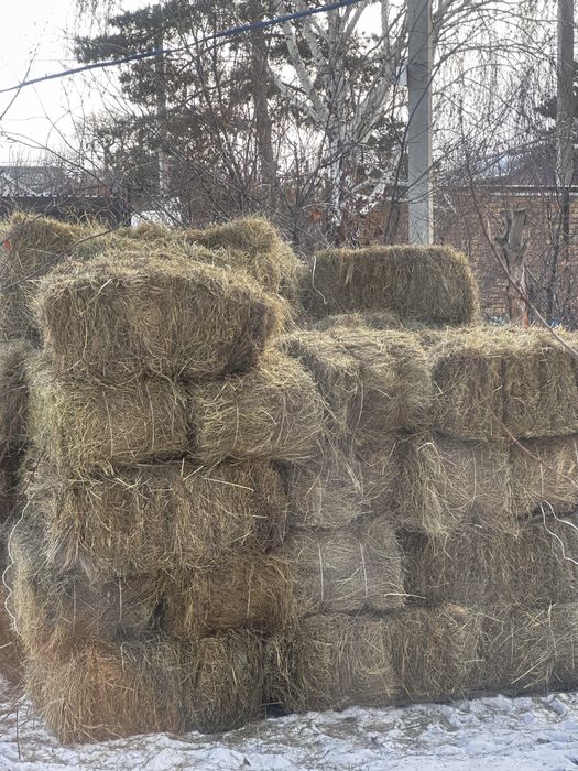 Продам продам майкудук