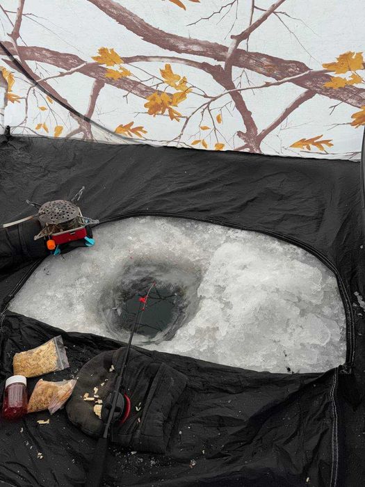 Сдам геокупол на базе отдыха ТЕРРА ВКО