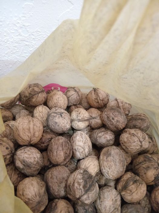 Продажа. Грецкие Орехи