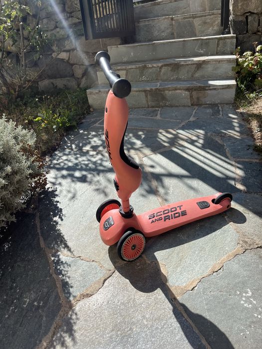 Тротинетка Scoot and Ride