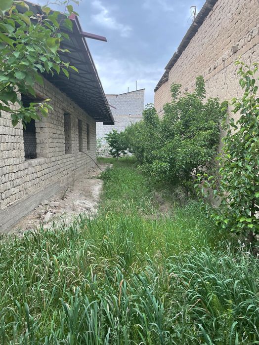 Участок 10 соток