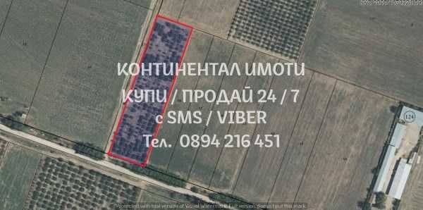 код 62767. Черешова градина 5500м2 до ток и вода