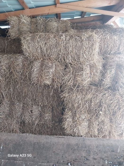 Vând paie baloți, și trifoi  baloți.