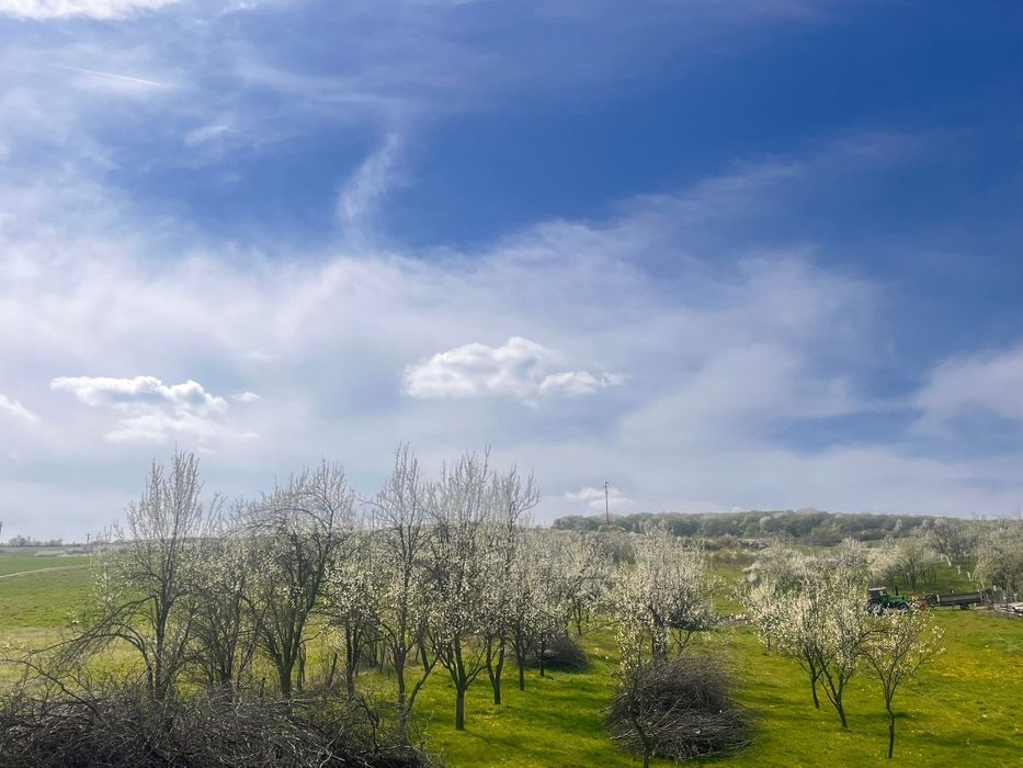 Teren Bunesti Intravilan vânzare