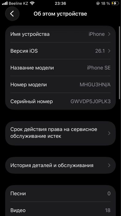 iphone se2 64гб 100%
