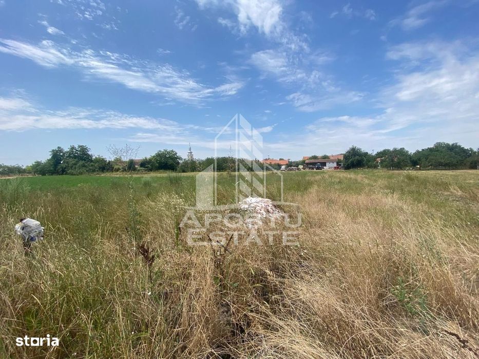Teren constructii intravilan de vanzare Dragsina Timis 1000 mp