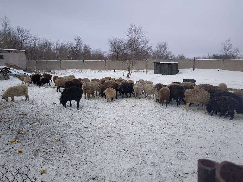 Дом в аренду для рабочих