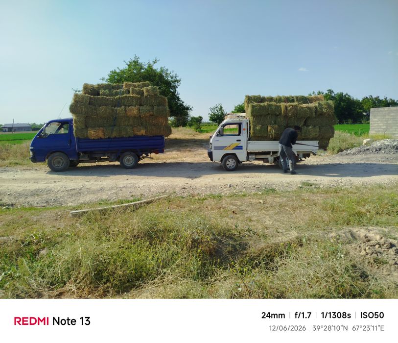 ISUZU MIDI sotiladi