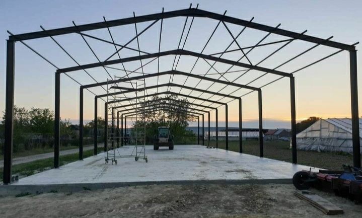 Vand hala metalică 12×30×4