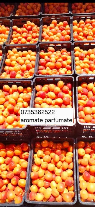 Caise coapte pentru țuică și pălincă – calitate excelentă
