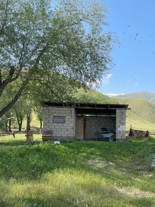 Фазенда в Акыртобе