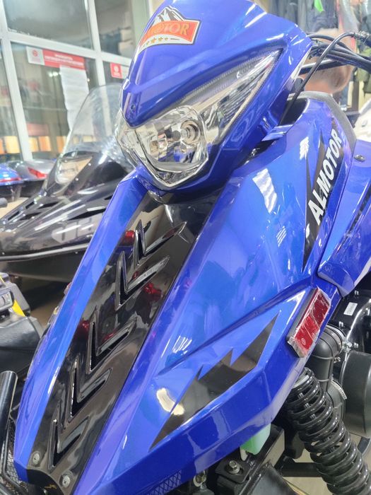 Снегоход Алмотор 300 куб.