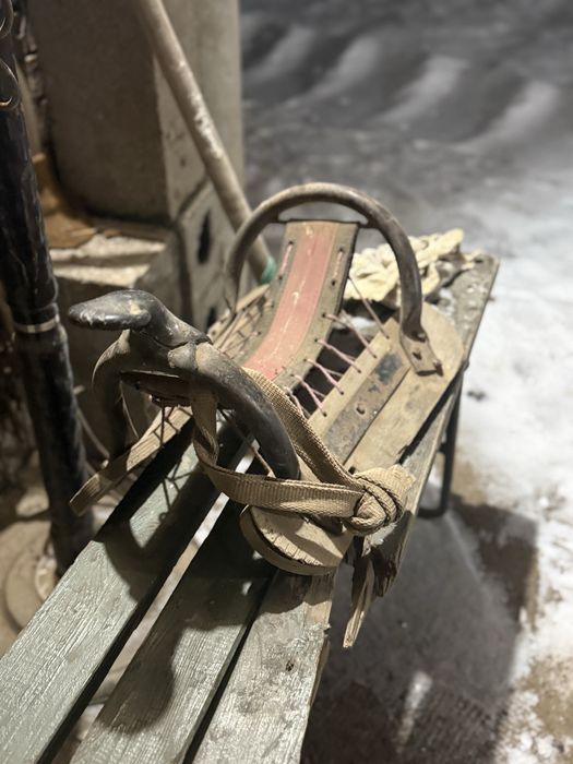 Ертокым  жылқыға