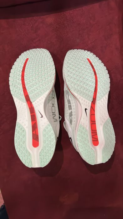 Оригинални Nike Pegasus Premium (42)