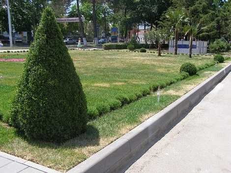 Бордюр дорожный 100х30х15